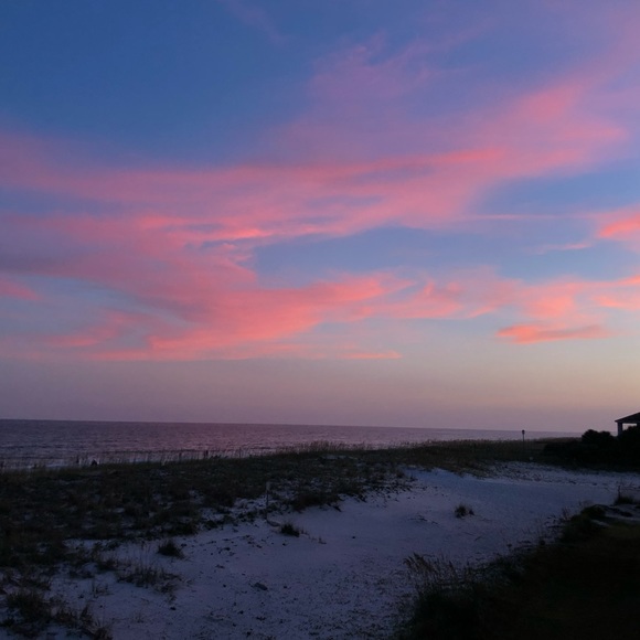 Meet your Posher, Carly - Picture 1 of 1